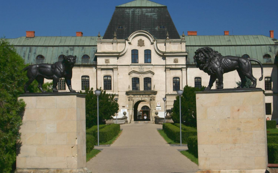 Vihorlatské múzeum
