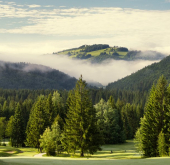 Golfové ihrisko Gray Bear Tále