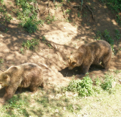 Zoo Košice