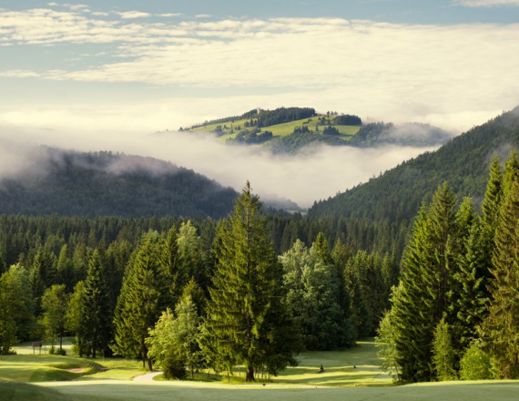 Golfové ihrisko Gray Bear Tále